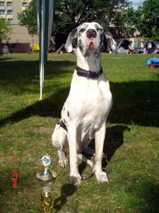 Gina 12 Jahre alt geworden Gina Veteranenklasse