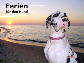 Urlaub auf Ruegen