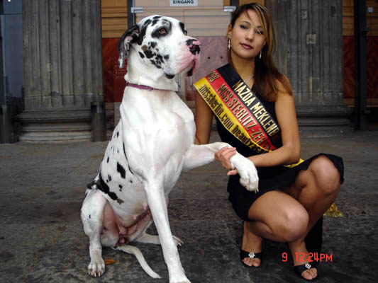 Deutsche Dogge Gina