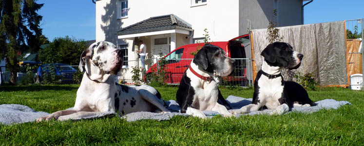 Foto: Gina im Alter von 2 Jahren